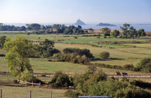 Mont et chevaux