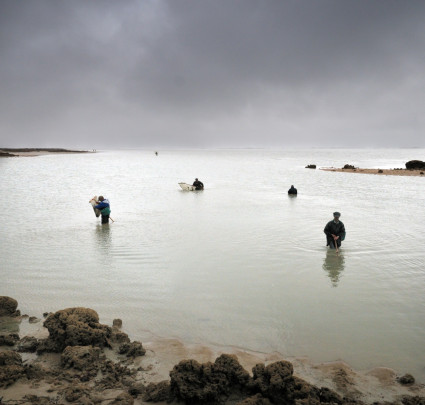 Pêche à pied aux hermelles