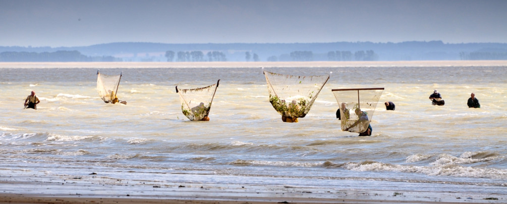Pêcheurs de crevettes