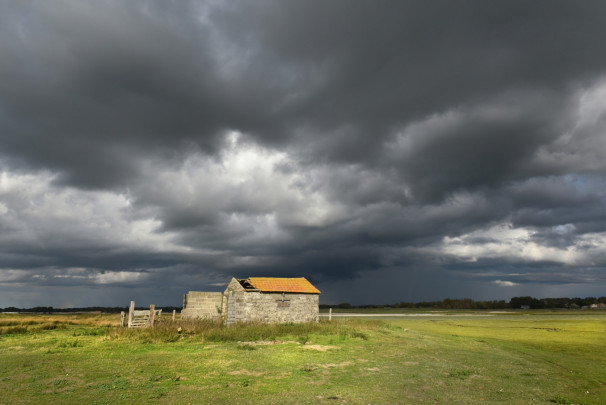 La dernière bergerie