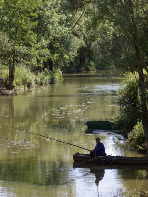 Le pêcheur dans sa barque