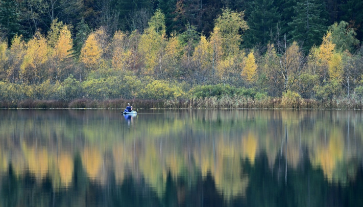 Le poisson de Bonlieu