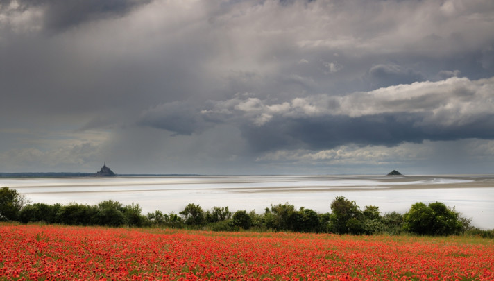 Mont et coquelicots 2