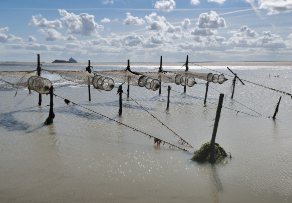 Pêcherie dans la baie