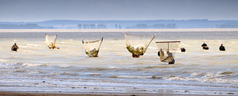 Pêcheurs de crevettes