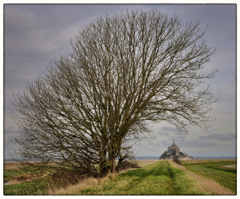 Perspective sur le Mont