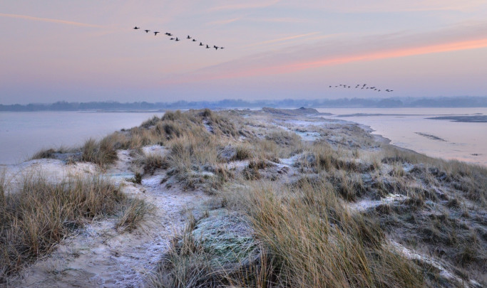 Petit matin dans le havre 1