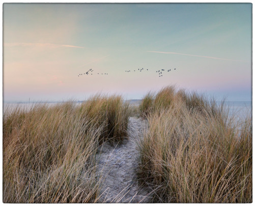 Petit matin dans le havre 4